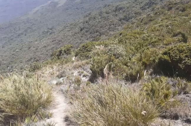 Imagen de la diapositiva